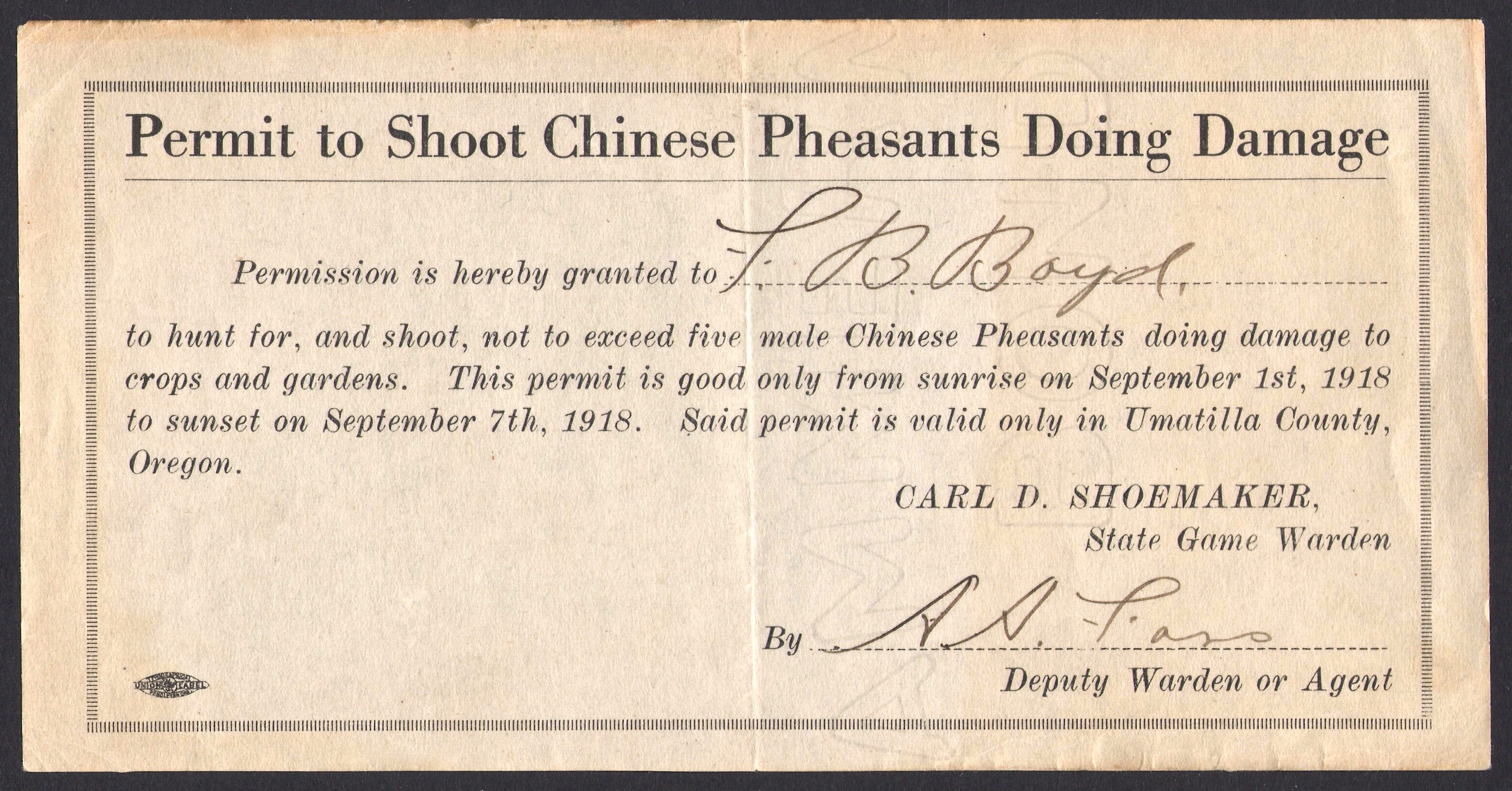1918 Oregon Permit to Shoot Chinese Pheasants Doing Damage
