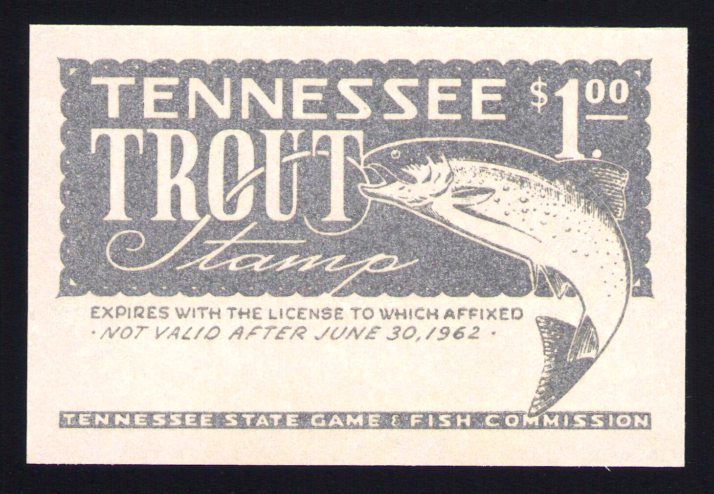 1957 Tennessee Trout Essay