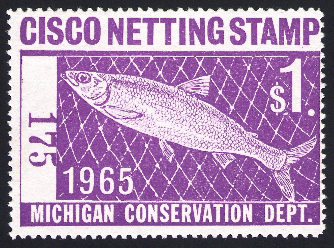 1965 Michigan Cisco Netting