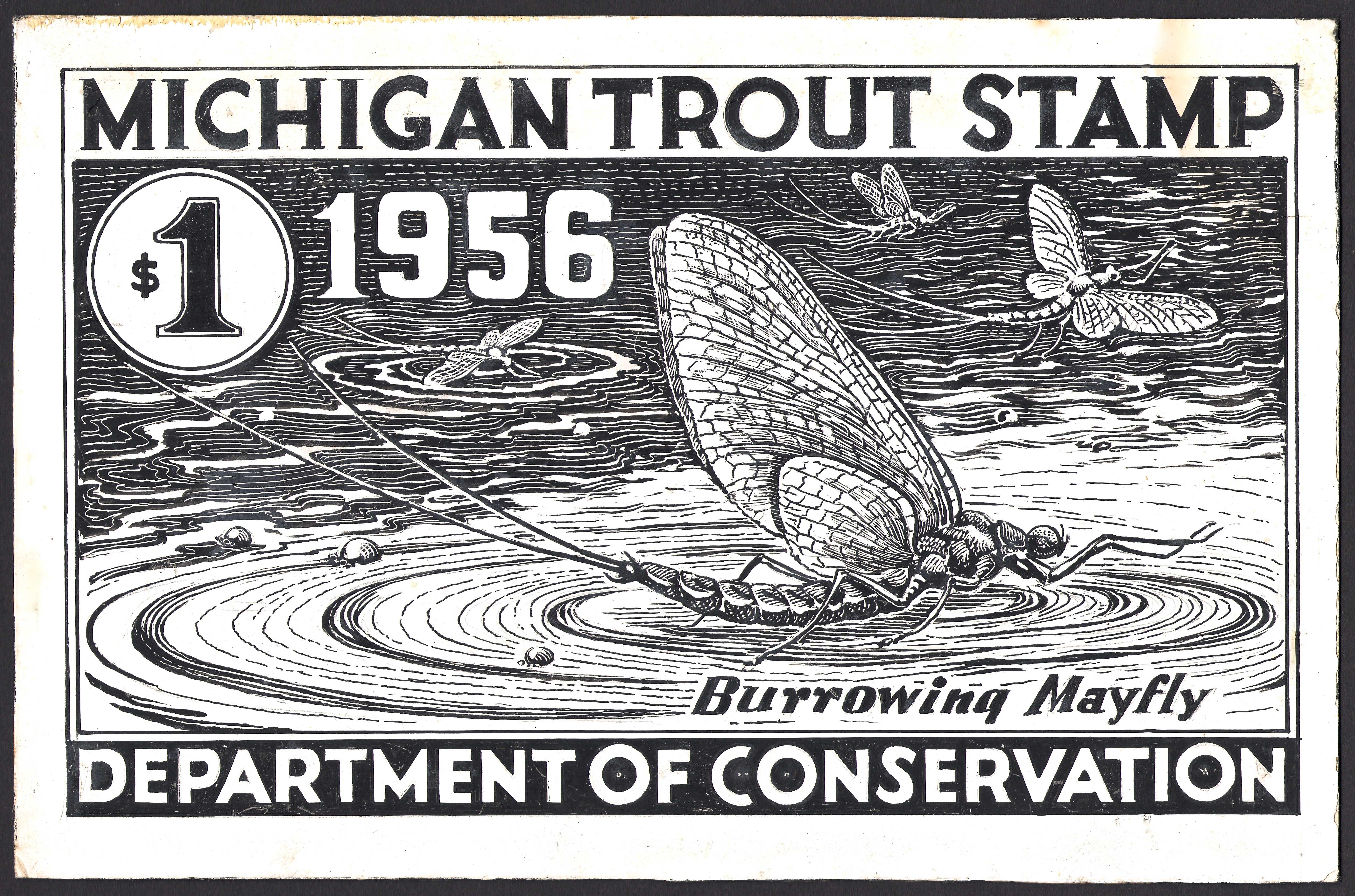  1956 Michigan Trout Original Drawing