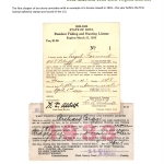 [F1;P16] 1932 Iowa and 1933 West Virginia Licenses