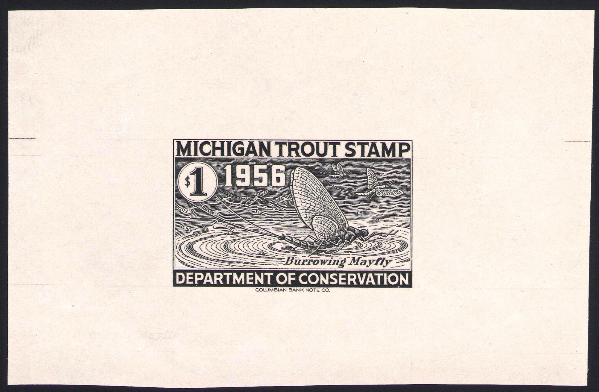 1956 Large Die Proof Michigan Trout