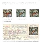 [P150] 1976 New Mexico Trout Stamps