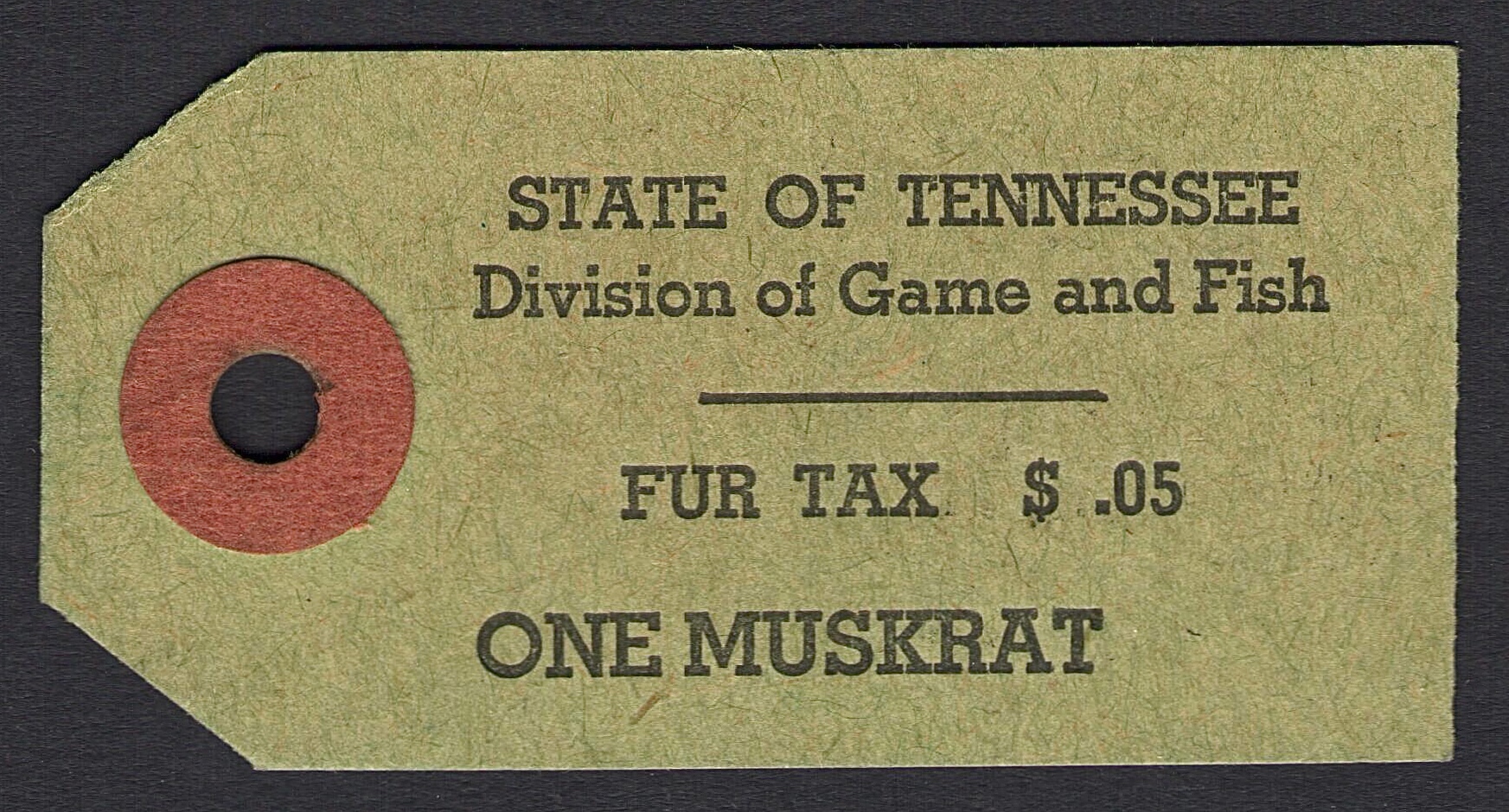 Muskrat Fur Tax Tennessee