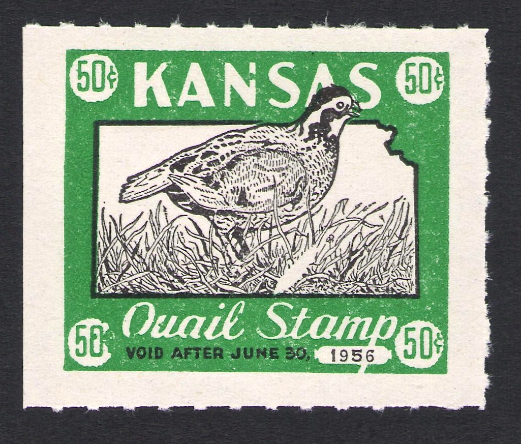 1955-56 White Feather Kansas Quail