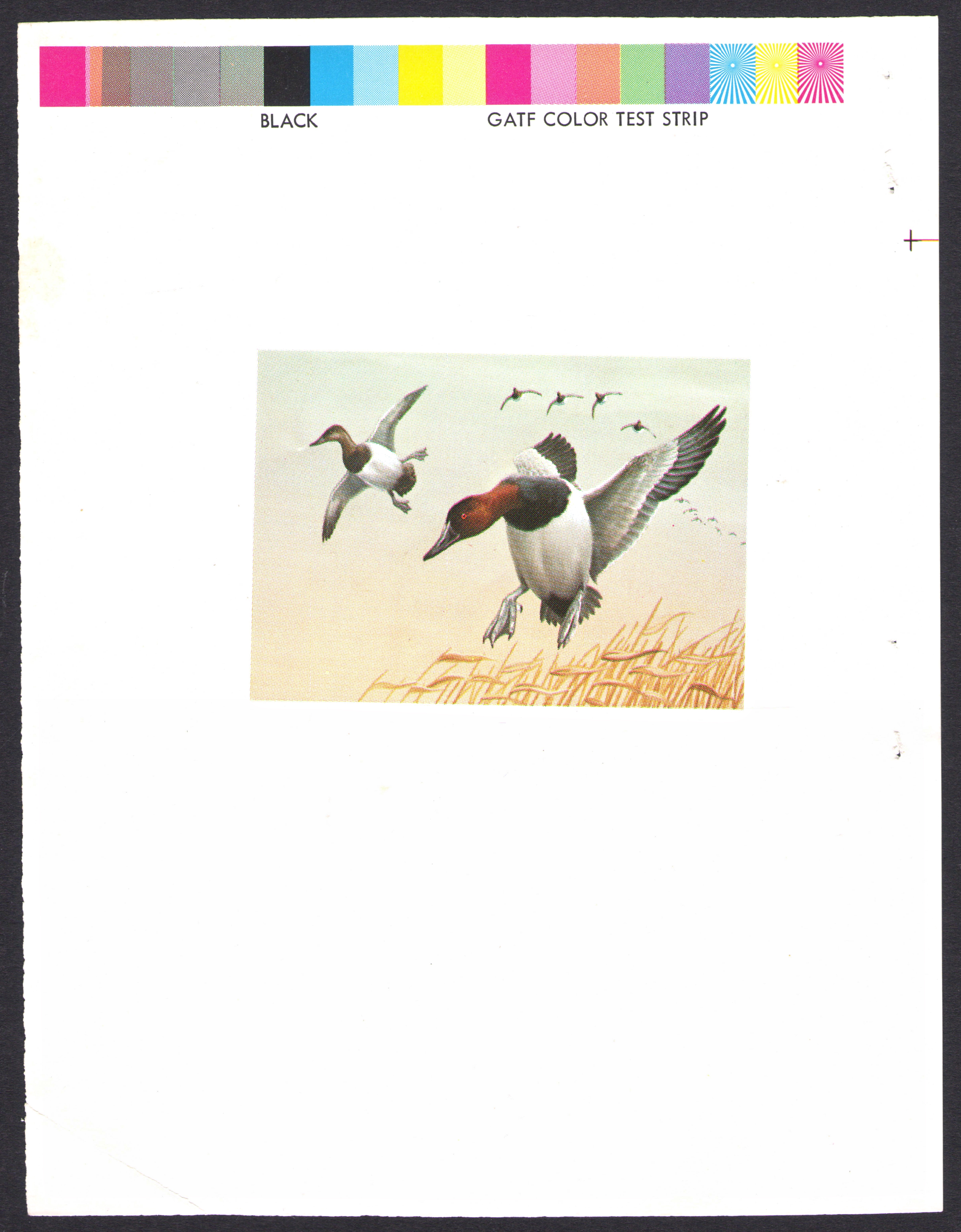 1976-77 Maryland Waterfowl Proof