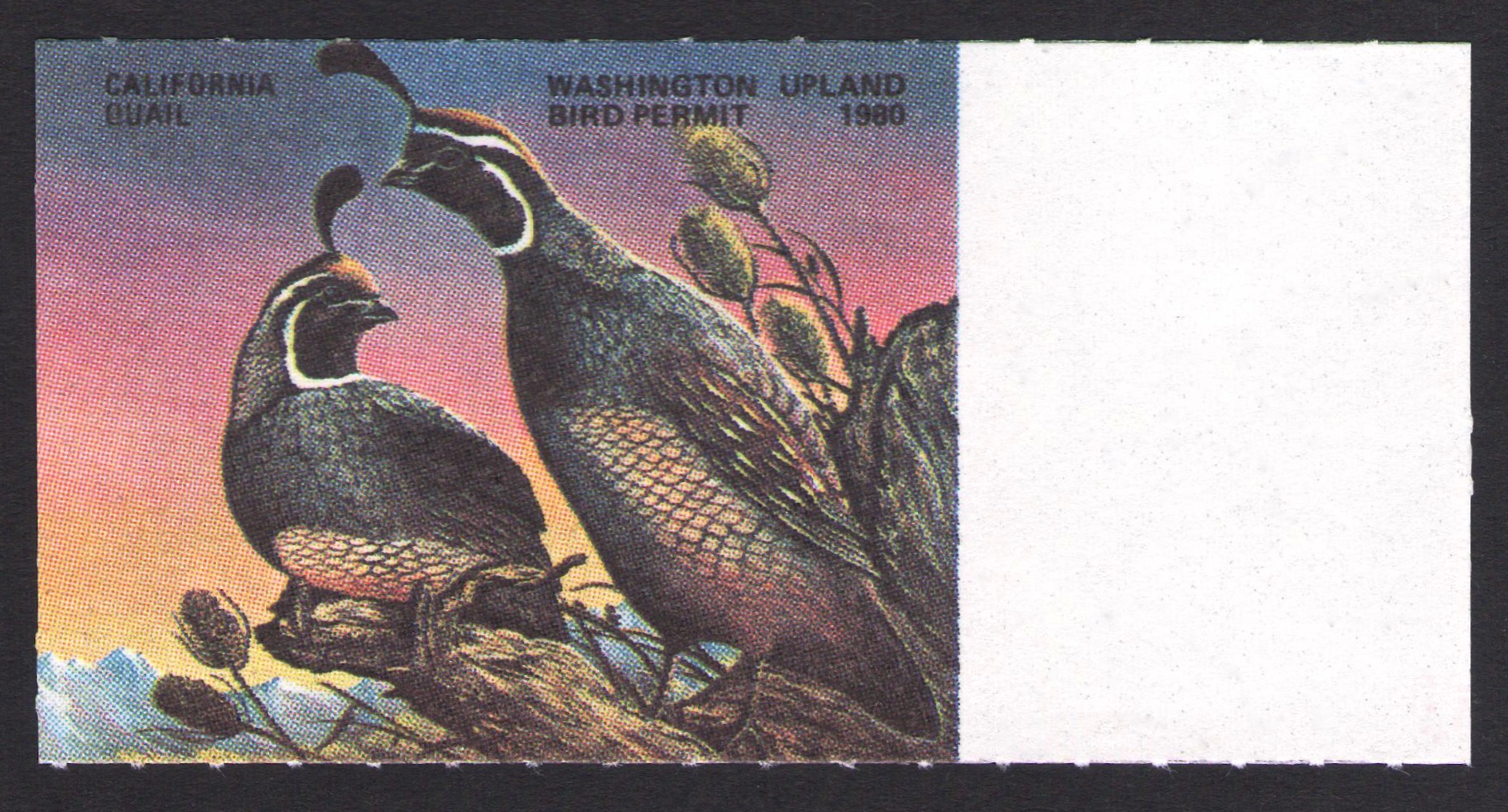 1980 Washington Upland Error - Wording and Serial # Missing