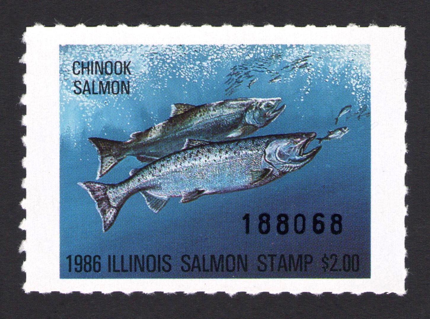 Type II 1986 Illinois Salmon