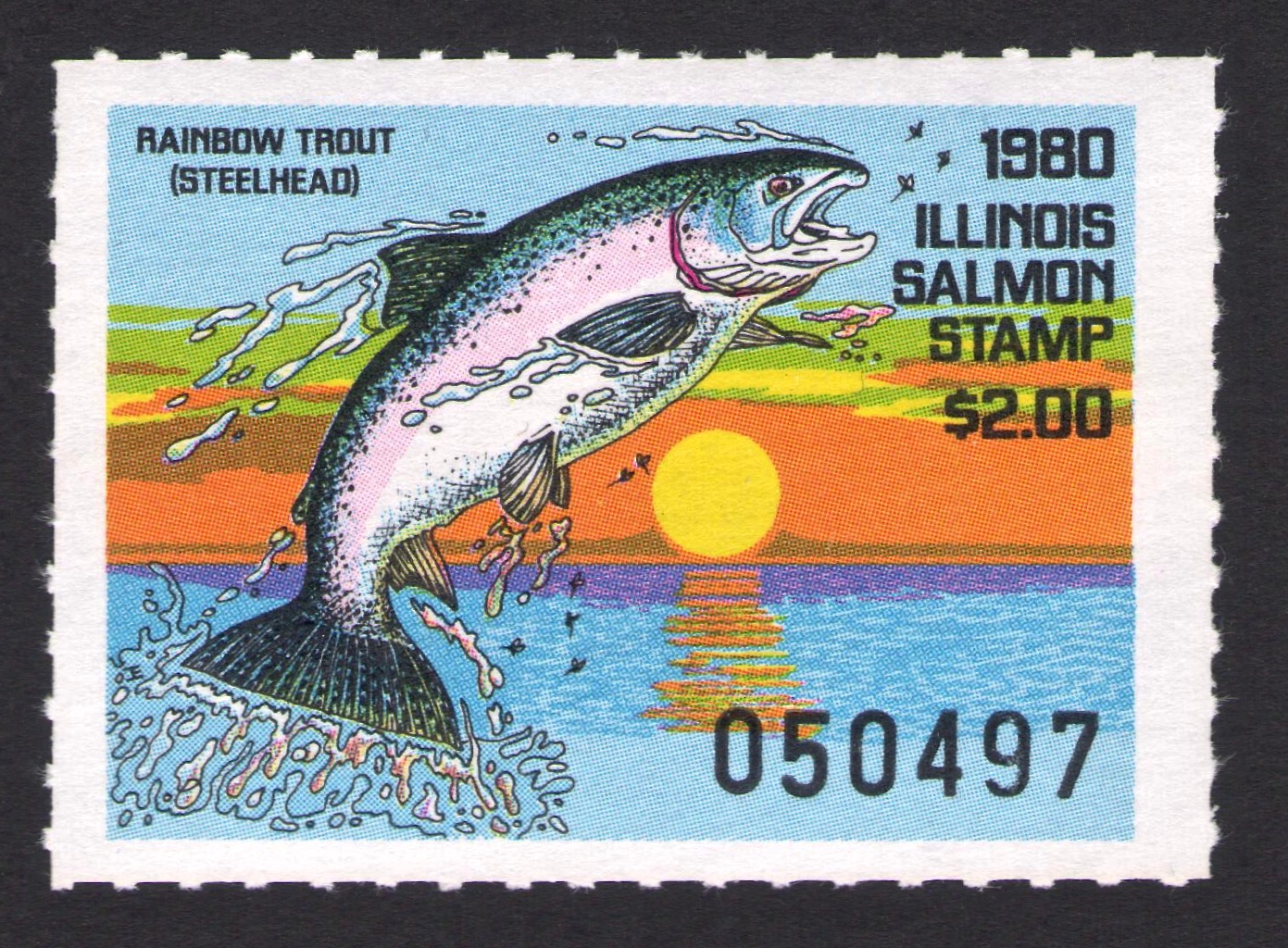 1980 Illinois Salmon