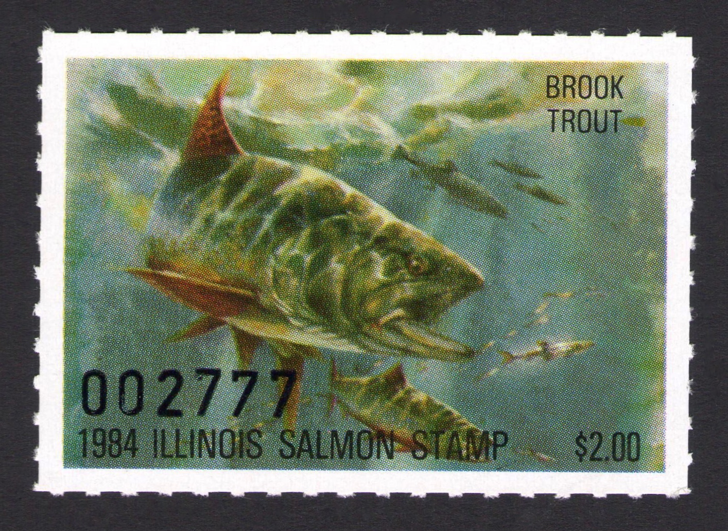 1984 Illinois Salmon