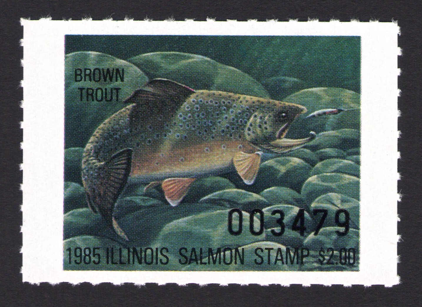 1985 Illinois Salmon