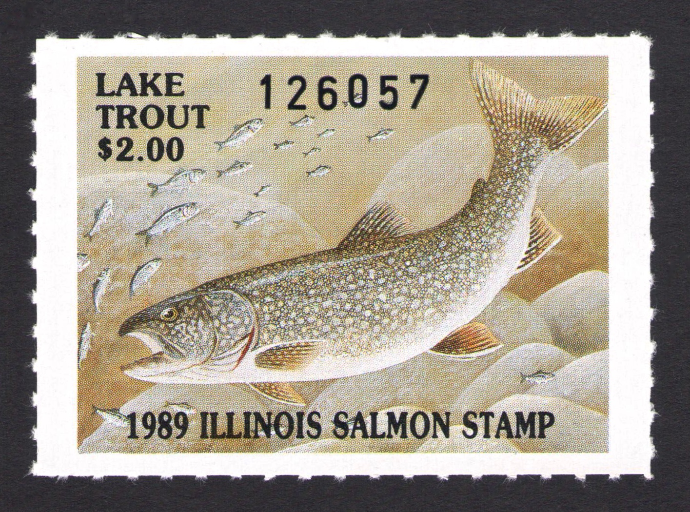 1989 Illinois Salmon