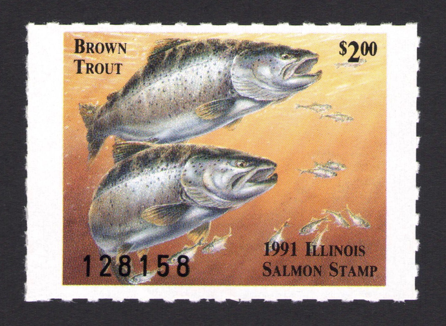 1991 Illinois Salmon