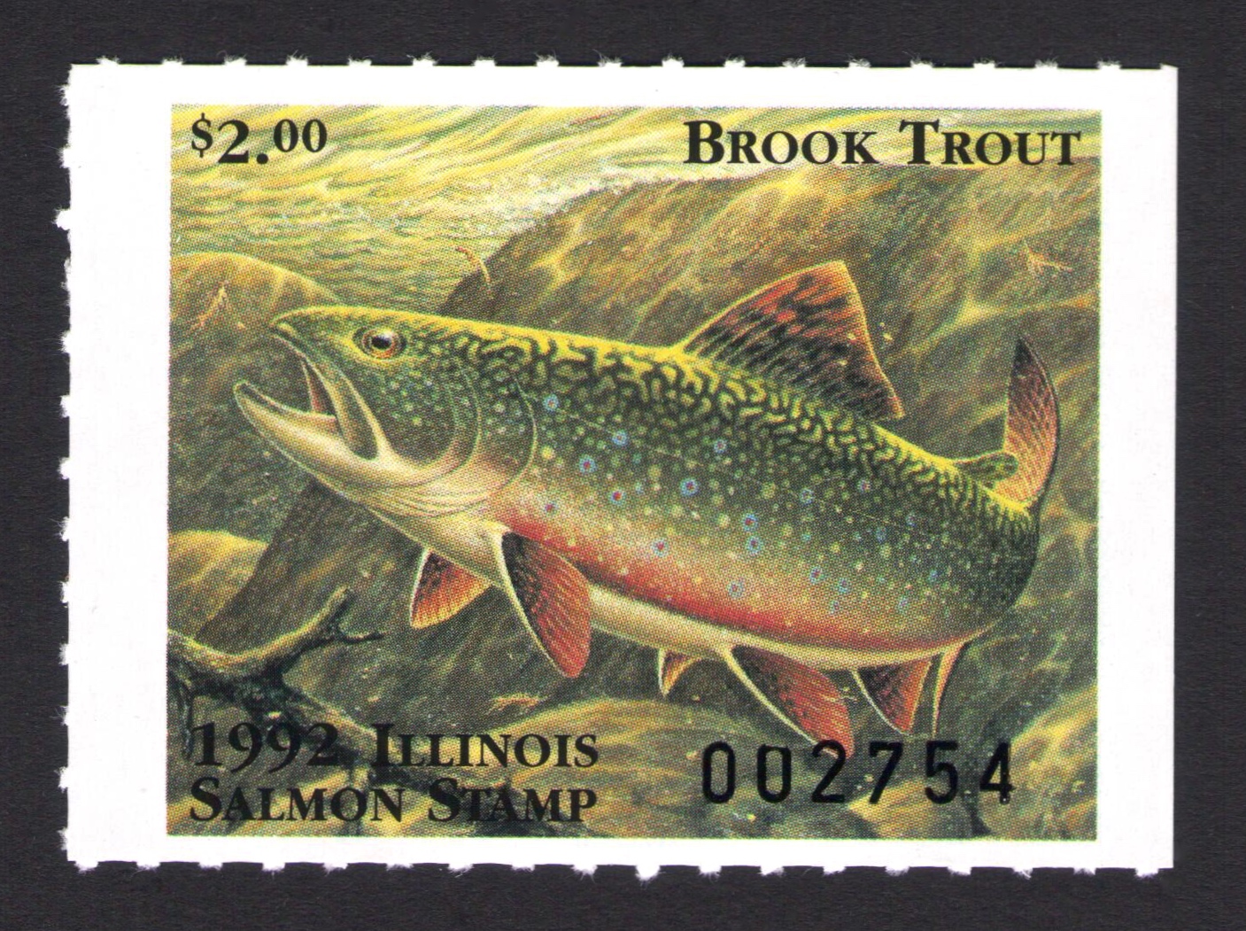 1992 Illinois Salmon
