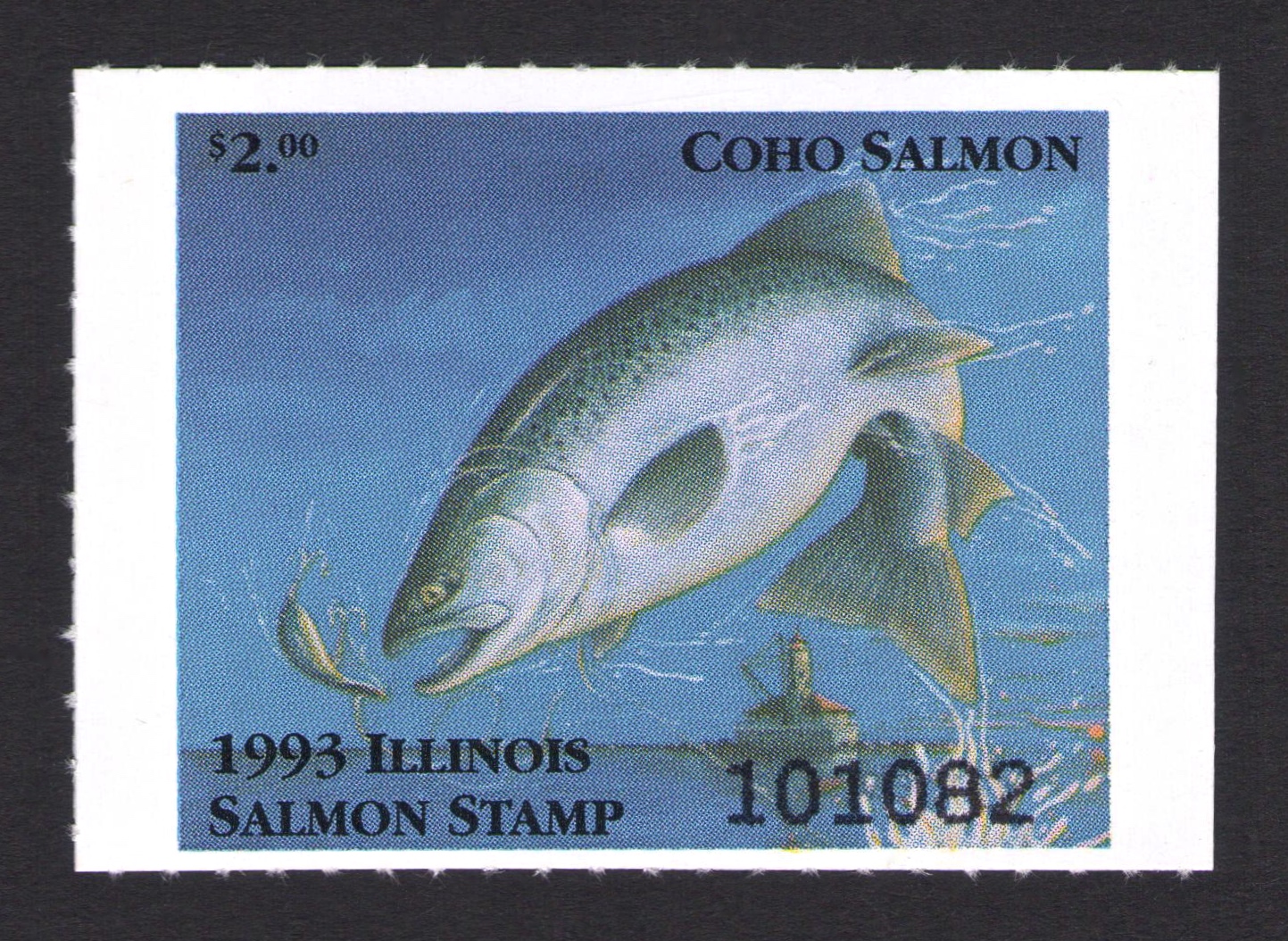 1993 Illinois Salmon