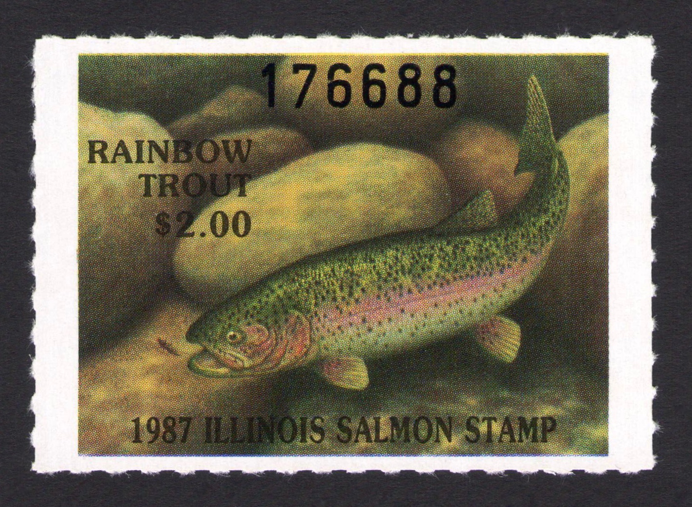 1987 Illinois Salmon