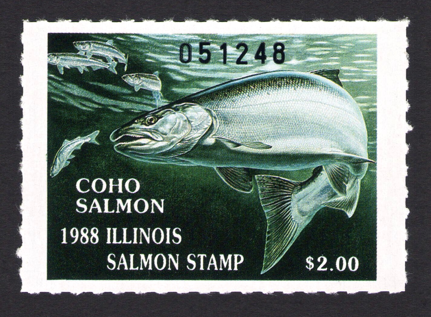 1988 Illinois Salmon