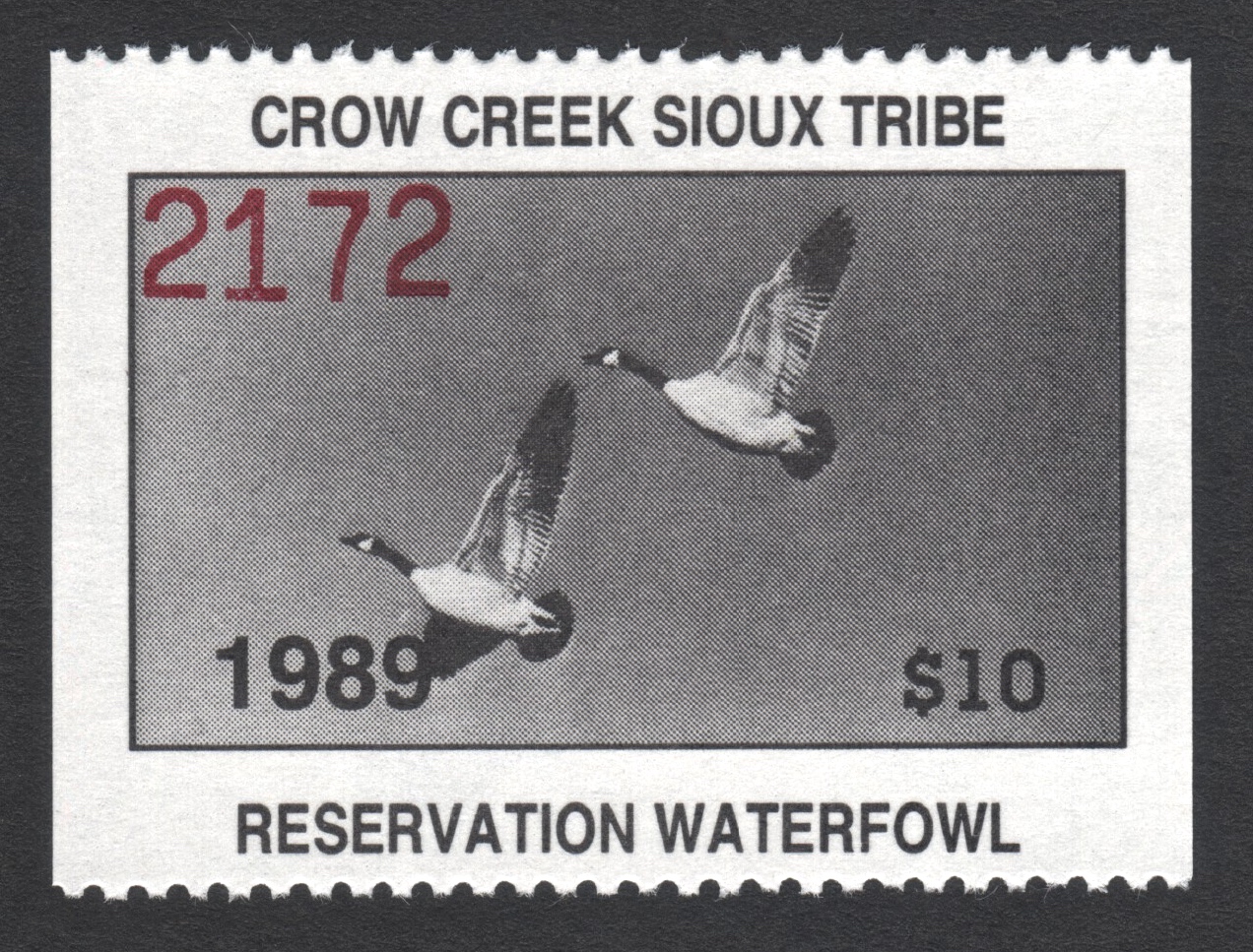 1989 Crow Creek Reservation Waterfowl