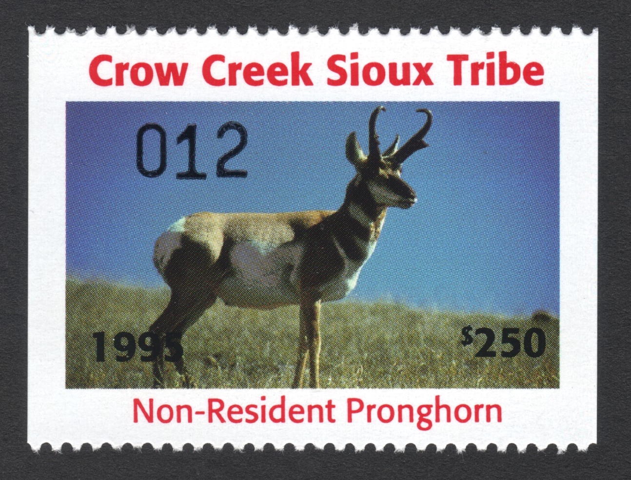 1995 Crow Creek NR Pronghorn