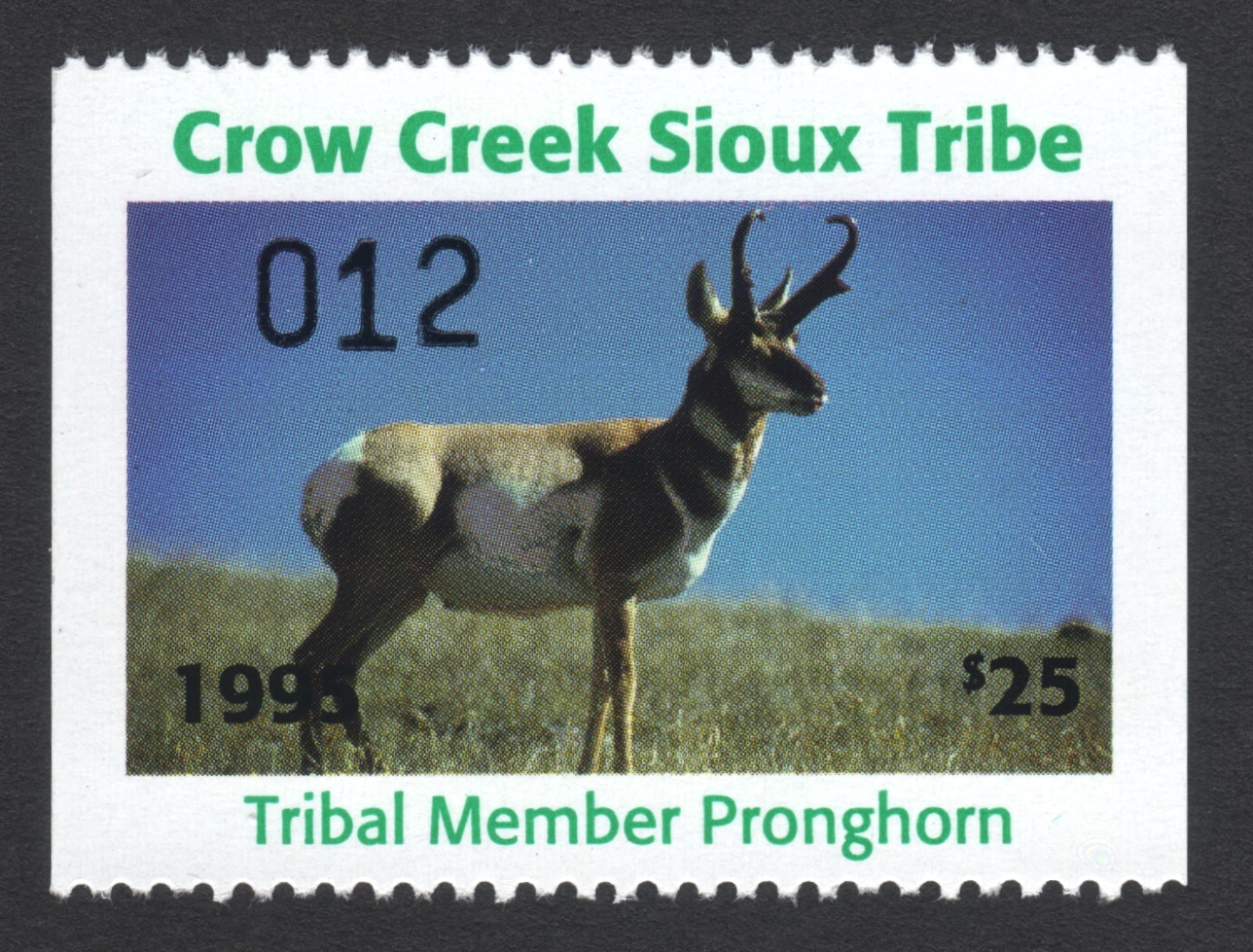 1995 Crow Creek Tribal Member Pronghorn