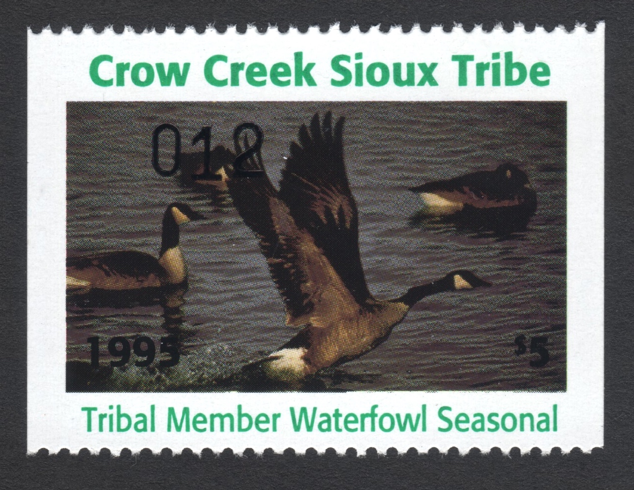 1995 Crow Creek Tribal Member Waterfowl