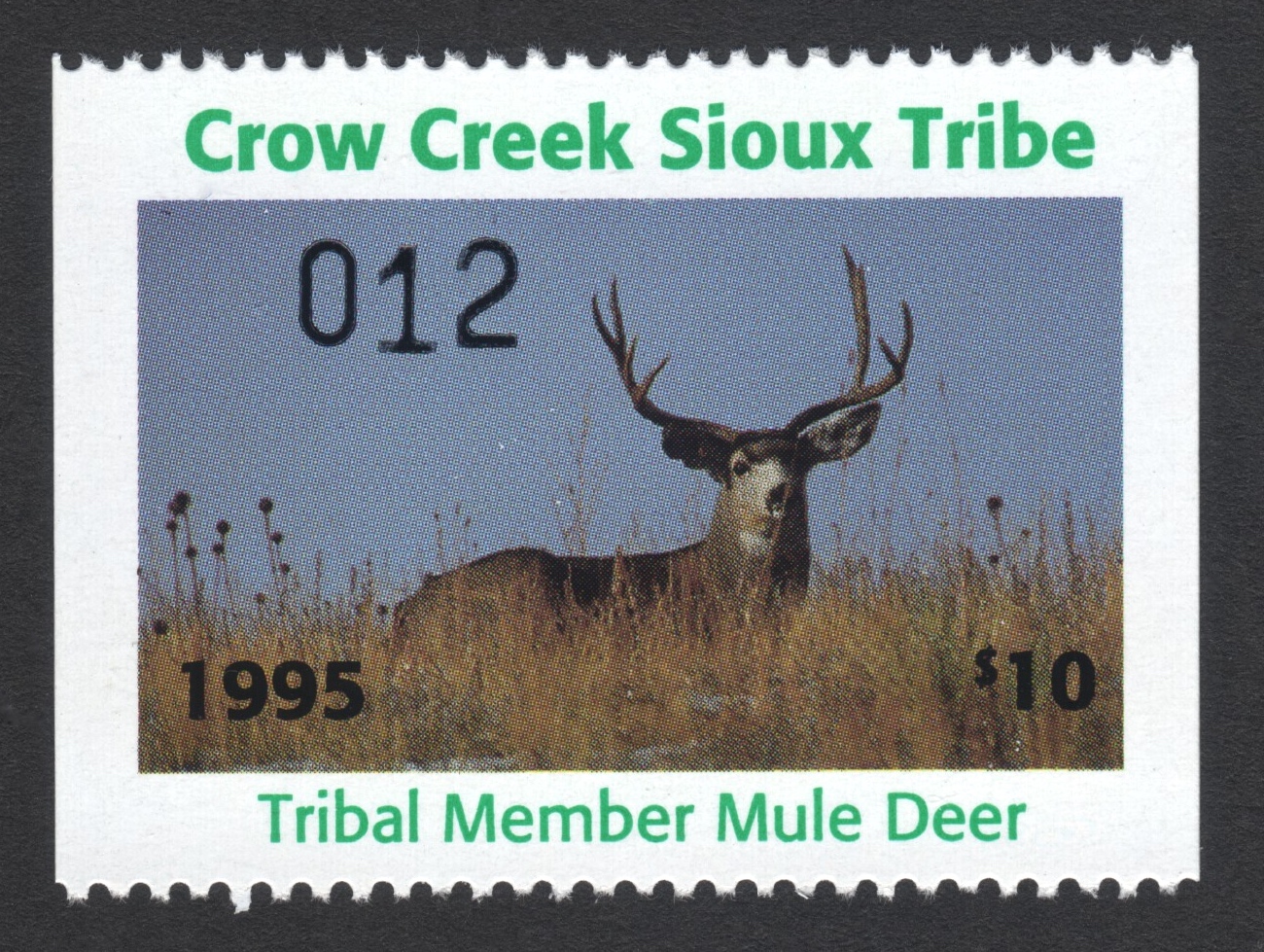 1995 Crow Creek Tribal Member Mule Deer
