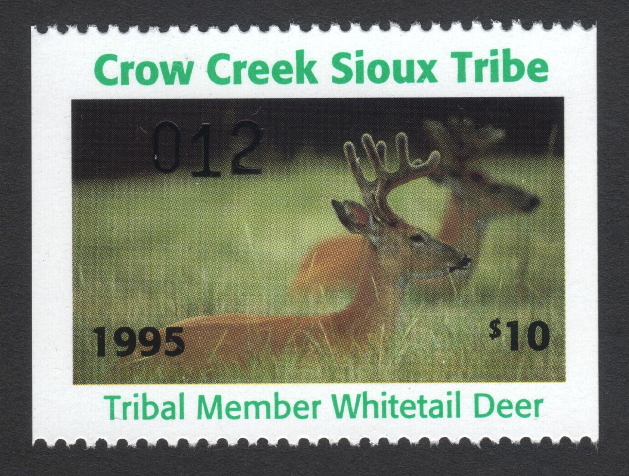 1995 Crow Creek Tribal Member Whitetail Deer
