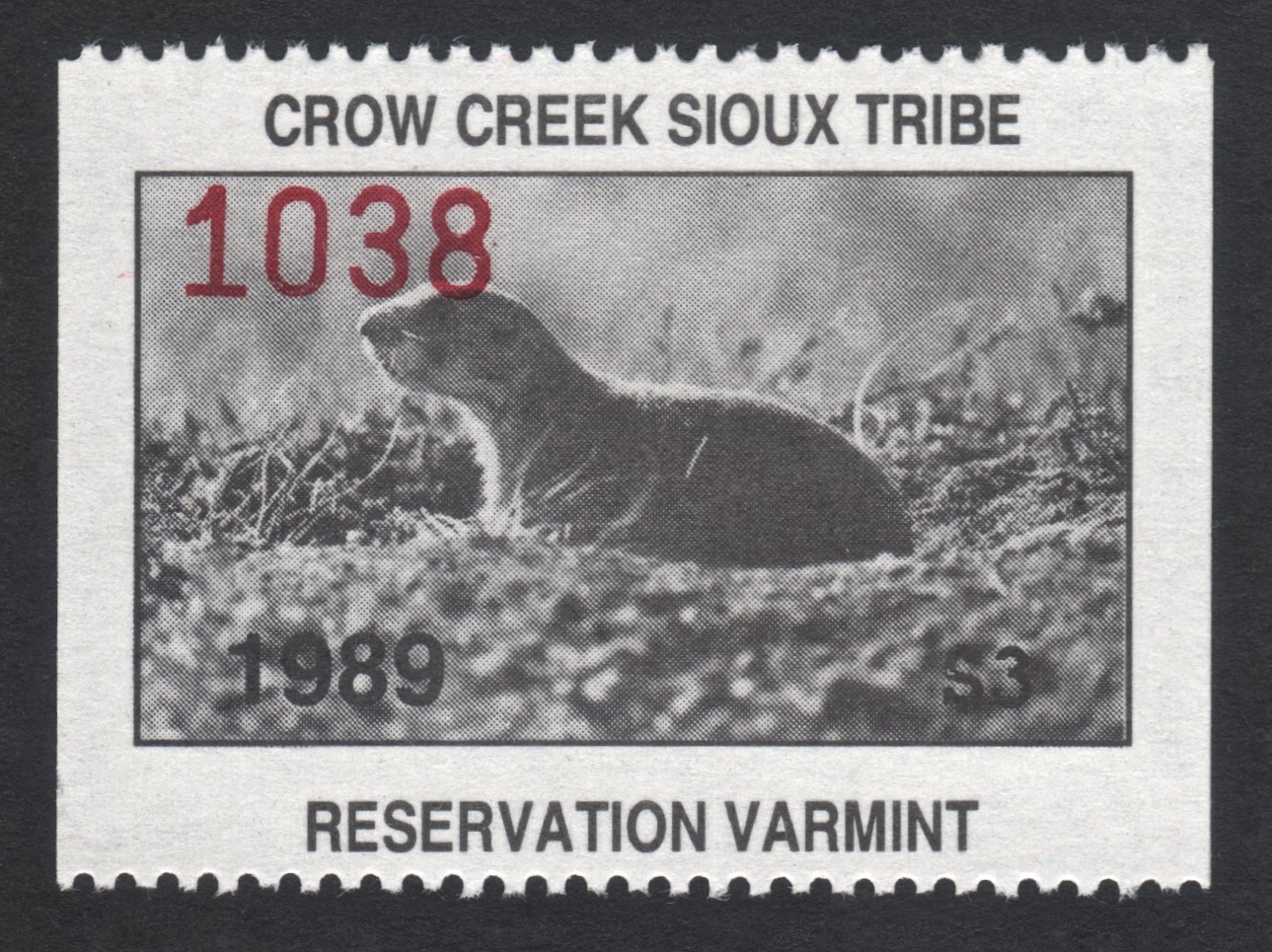 1989 Crow Creek Reservation Varmint
