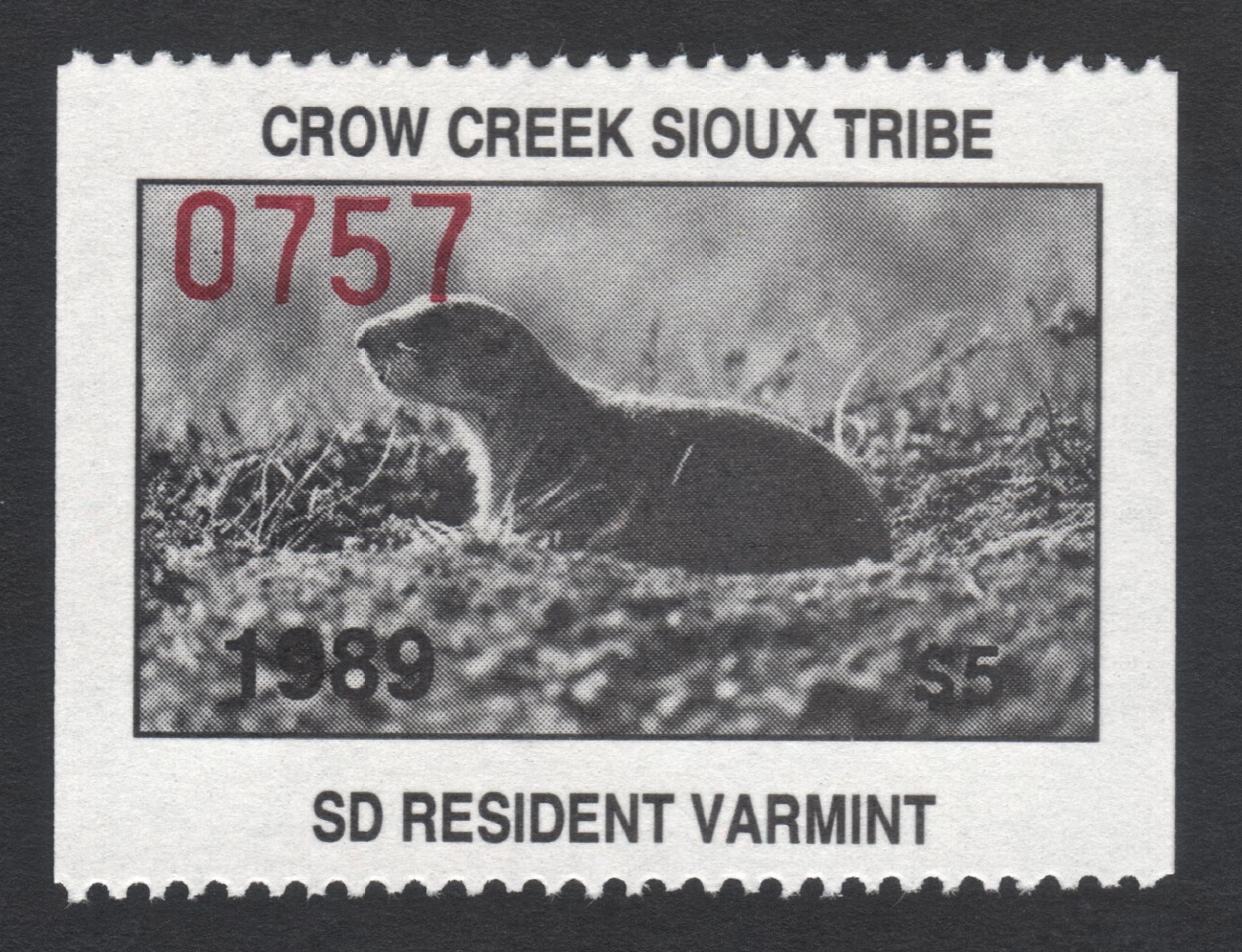1989 Crow Creek SD Resident Varmint