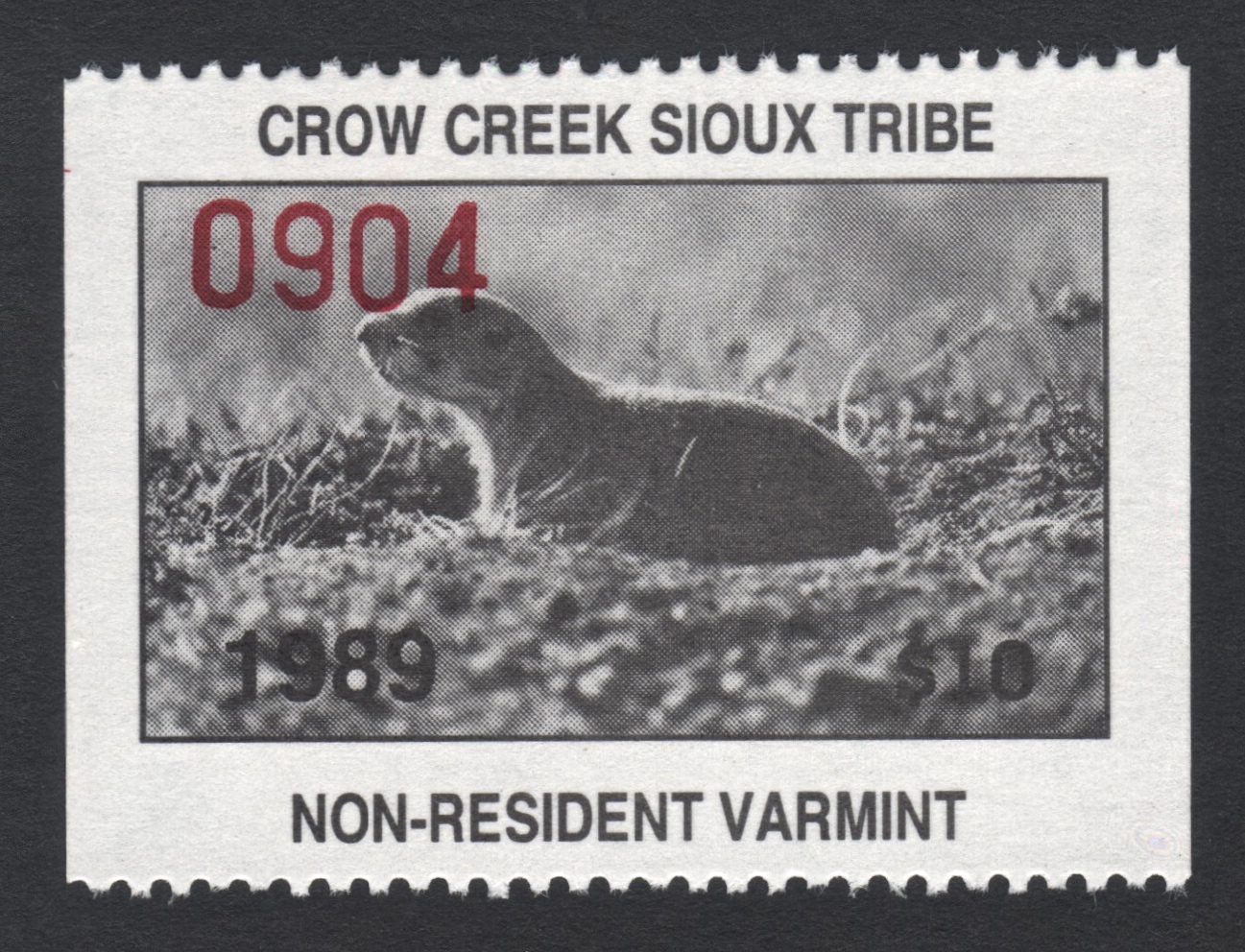 1989 Crow Creek NR Varmint