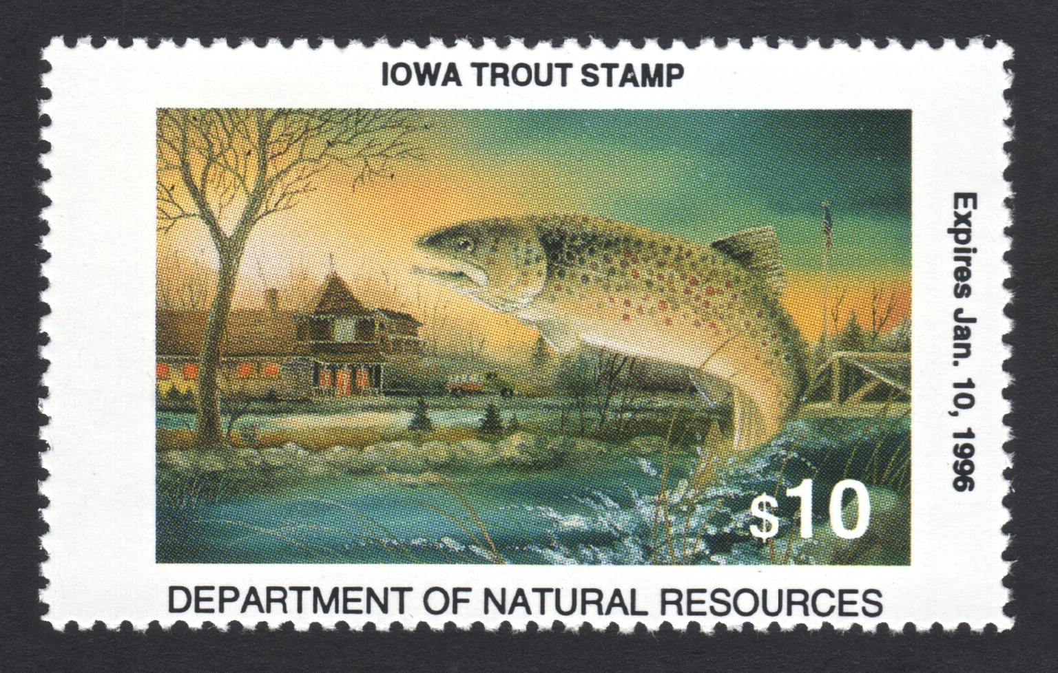 1995-96 Iowa Trout