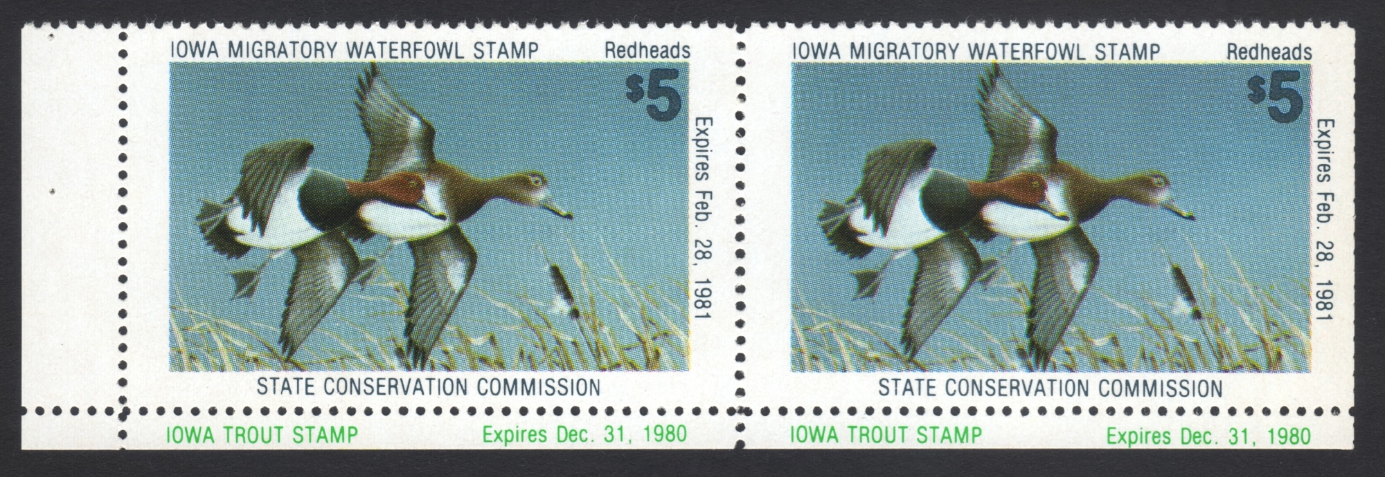 1980 Iowa Duck Pair with Trout Inscription at Bottom