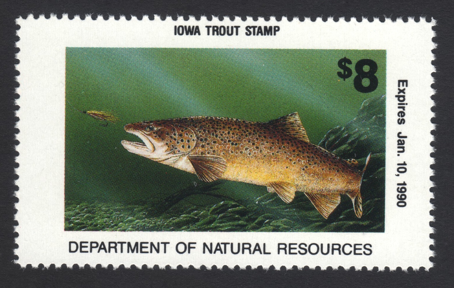 1989-90 Iowa Trout