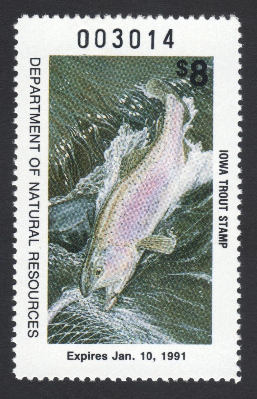 1990-91 Iowa Trout