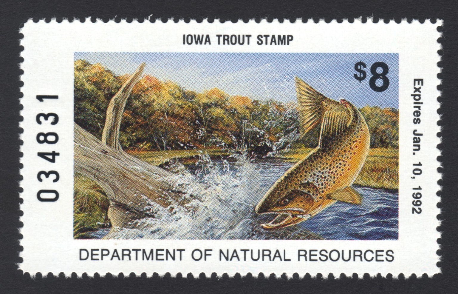 1991-92 Iowa Trout