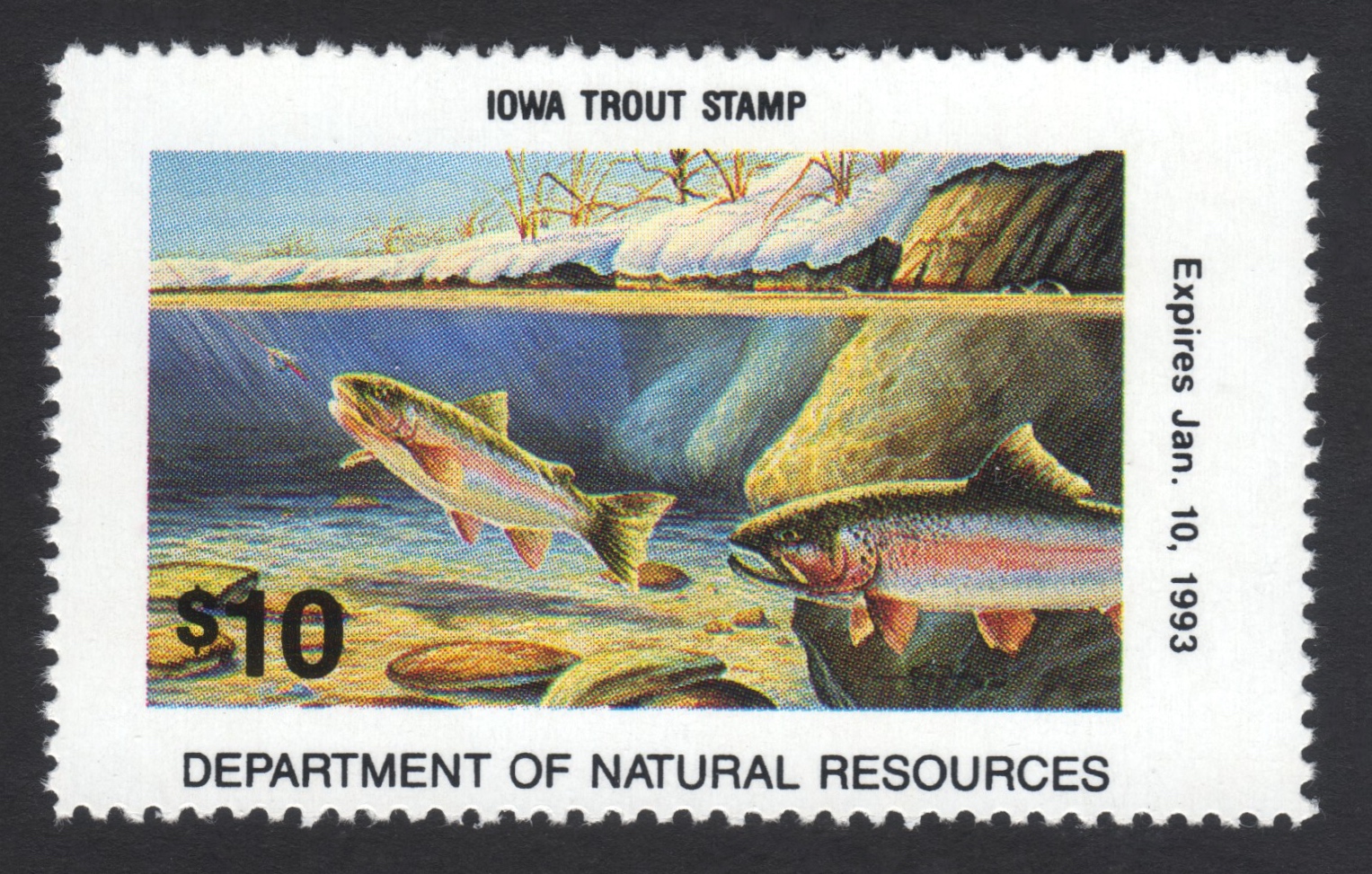 1992-93 Iowa Trout