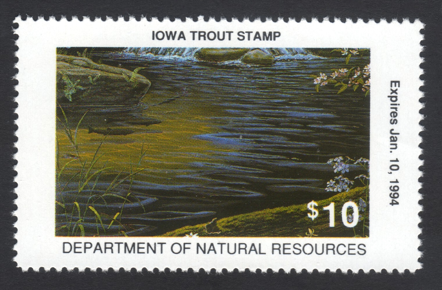 1993-94 Iowa Trout