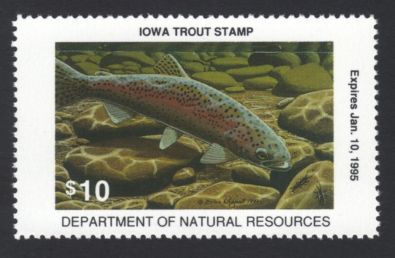 1994-95 Iowa Trout