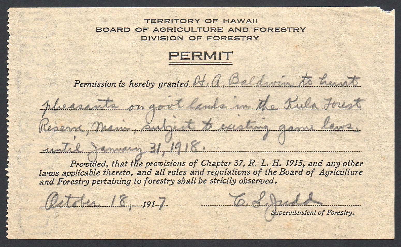 1917 Territory of Hawaii Permit to Hunt Pheasants in the Kula Forest 