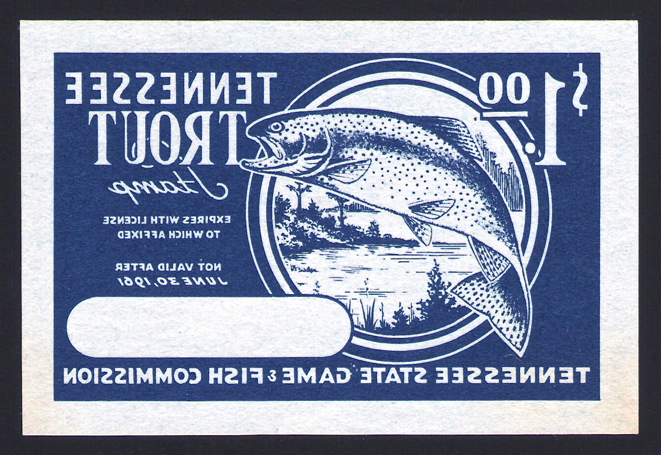 1960-61 Tennesse Trout Mirror Essay