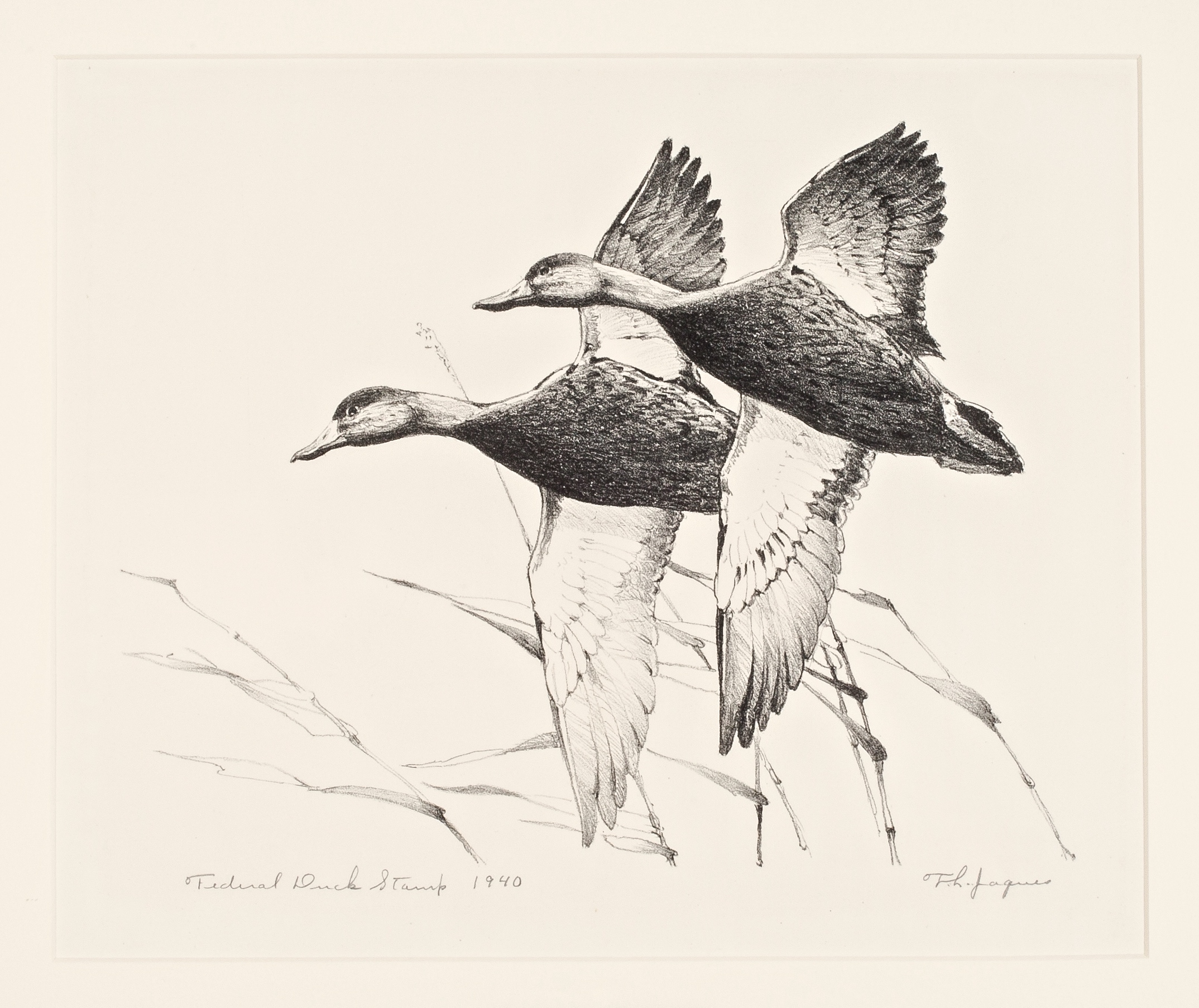 First Edition 1940 Federal Waterfowl Stamp Print