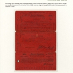 [F1; P6] 1904 Colorado License