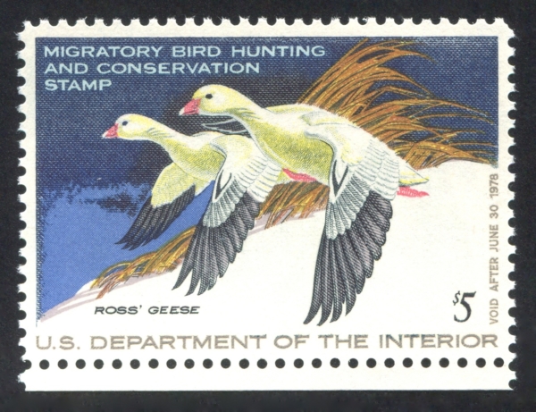 Introduction - Waterfowl Stamps And More