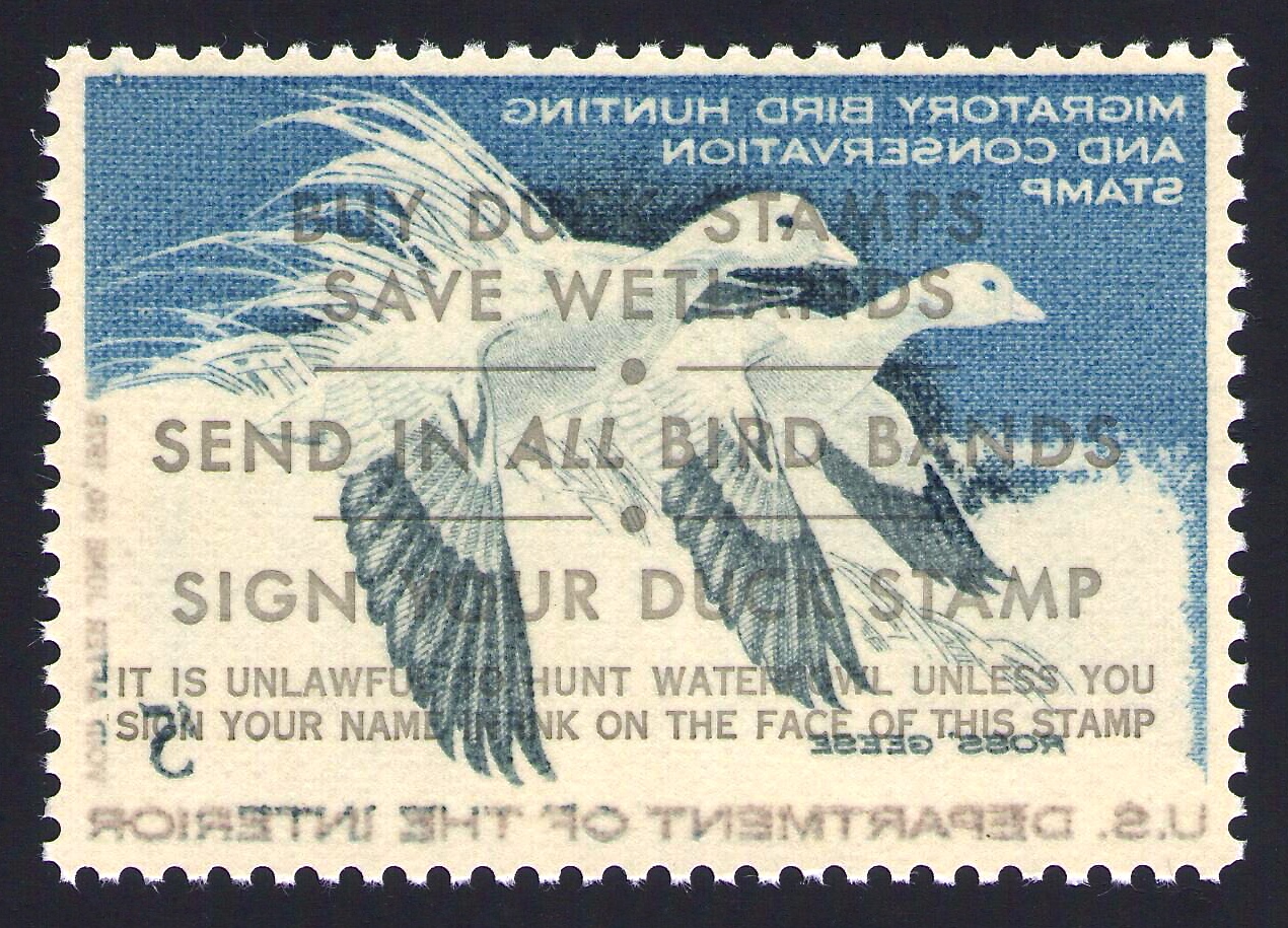 RW44 (1977-78) with Complete Offset on Reverse