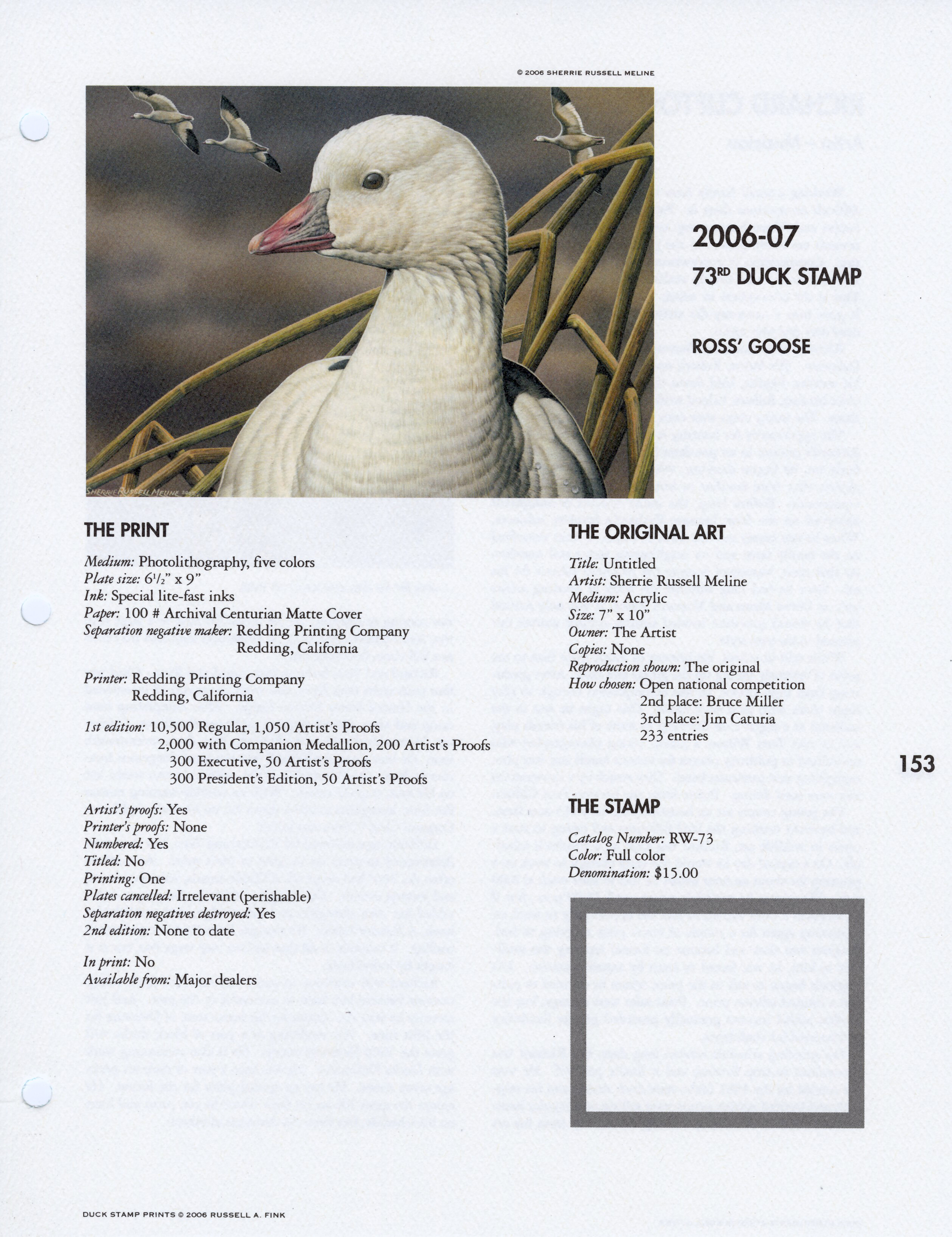 2006-07 Ross' Geese by Sherrie Meline