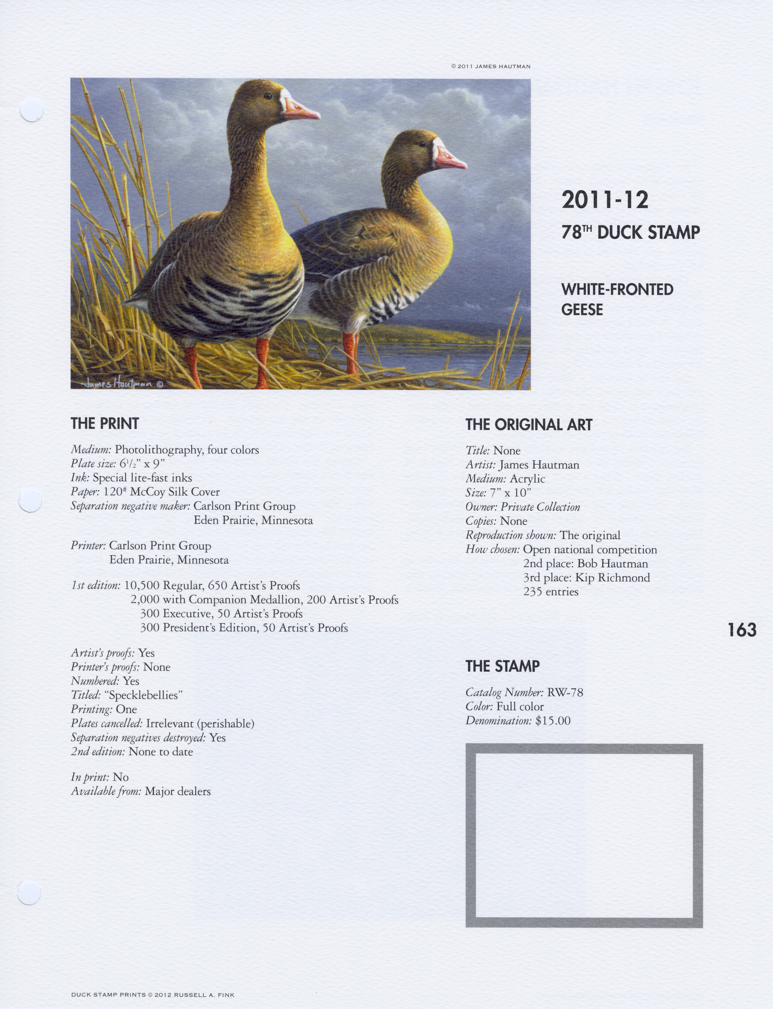 2011-12 White-fronted Geese by James Hautman