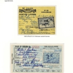 F2; P16] Federal Waterfowl Stamps – 1954 and 1955