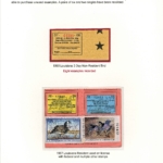 [F6; P12] Lousiana Game Bird and Pictorial – 1993 and 1997 