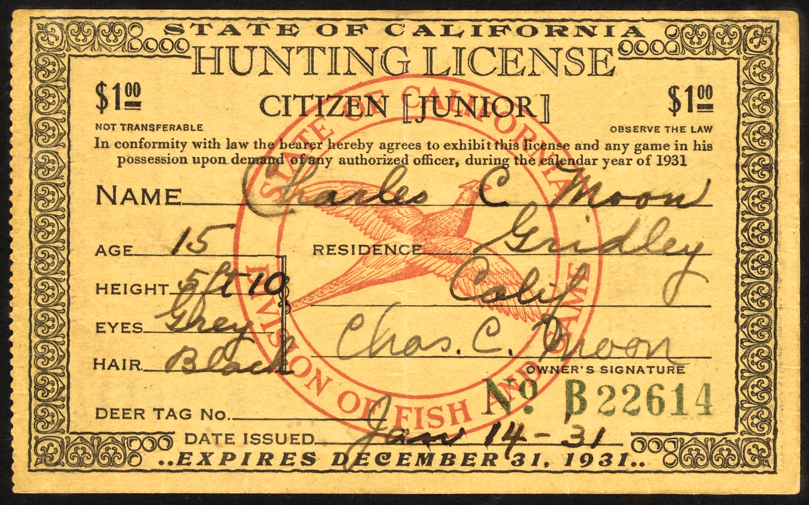 1931 California Junior Hunting License Waterfowl Stamps and More