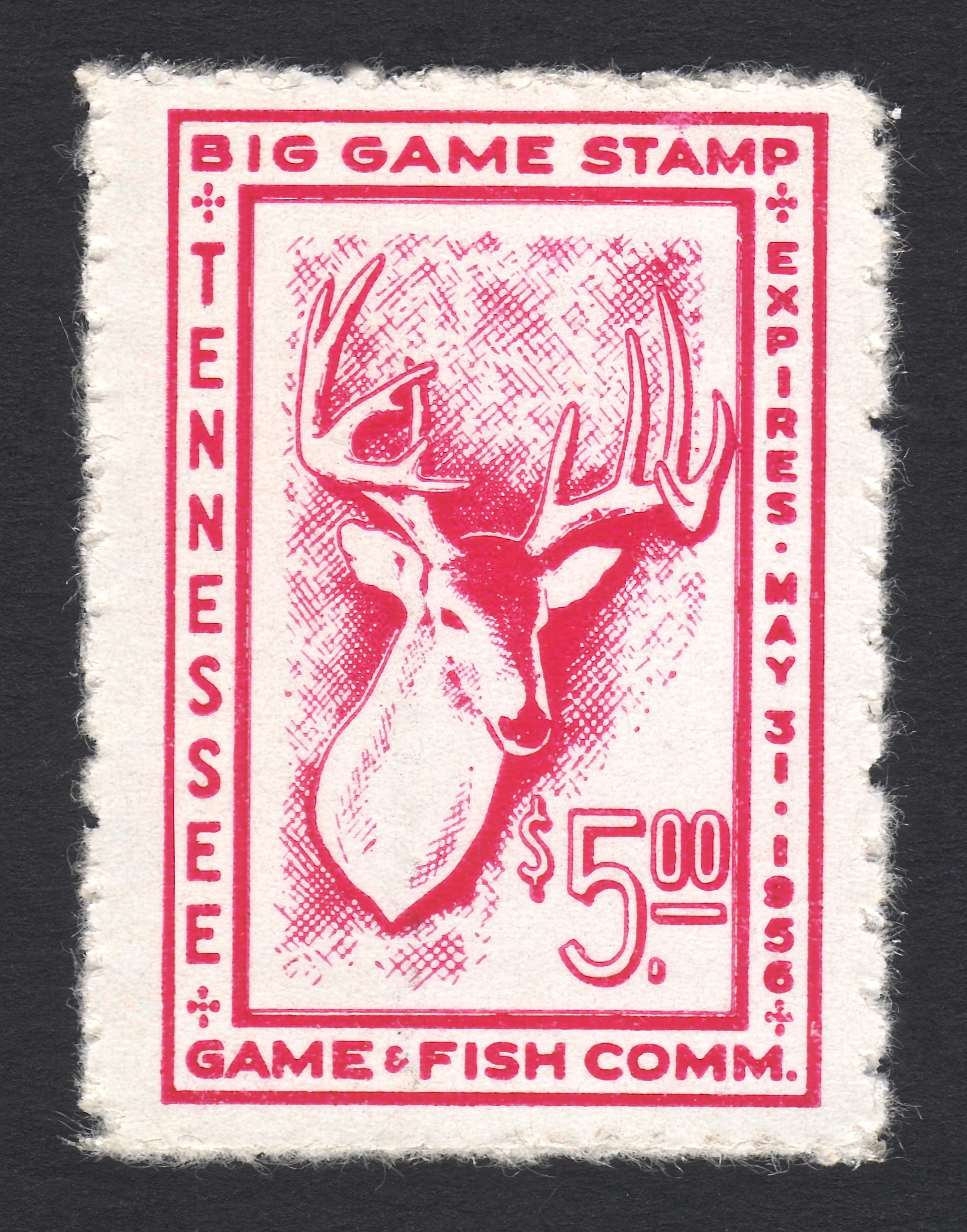 1955-56 Tennessee Big Game with Crude Perforations, ex Carnahan Archive
